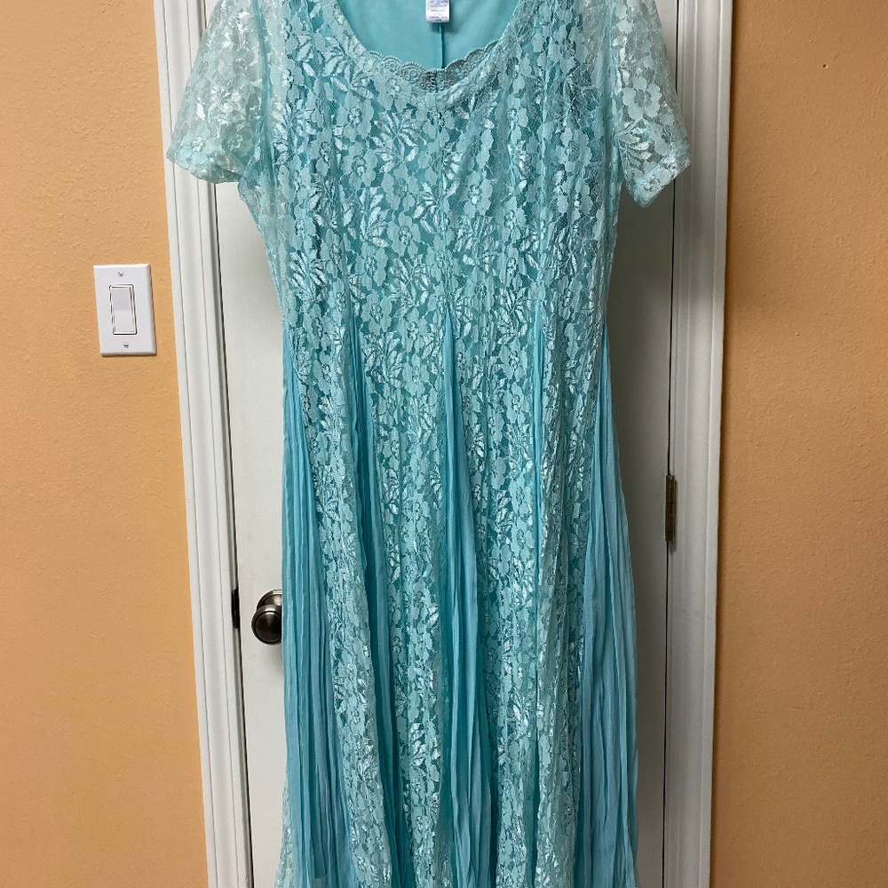 Vicki Wayne Lace overlay dress